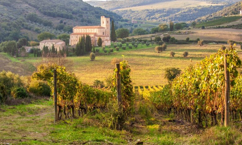Vinmarker i Montalcino